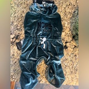 Silver Paw Coco Velour Pjs - Teal in XL